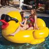 Jumbo Rubber Duck Float for Adults, Extra Large Duck Float for Kids, Stylish Duck Feather Float for Adults, Great for Summer Festivals, Large Pools,