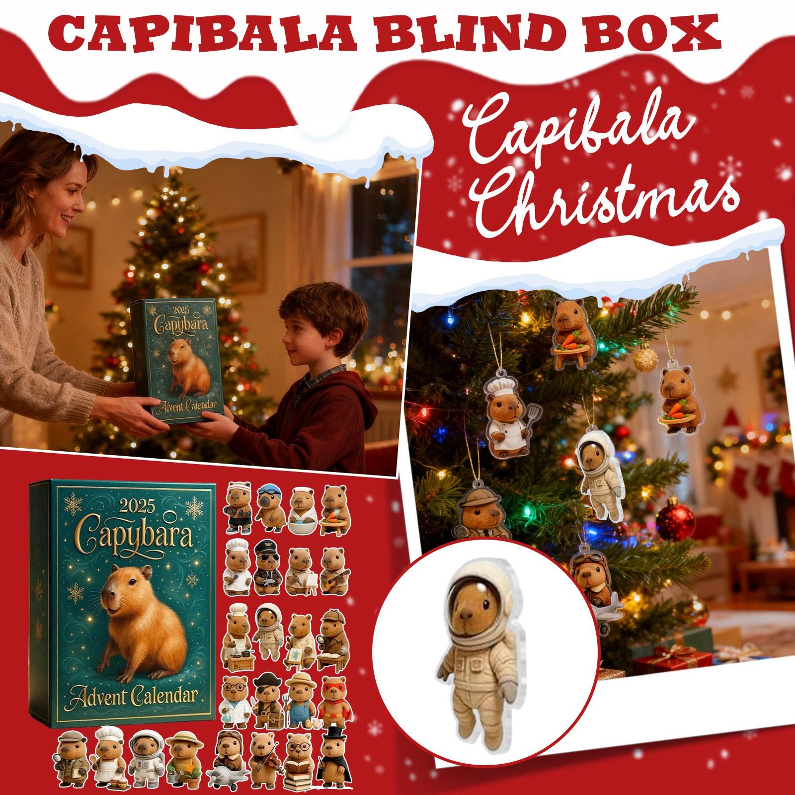 

Календарь Адвента 2025, 24 дня Рождественский календарь обратного отсчета с 24 шт. украшений, Ежедневные сюрпризы для отдыха, 2D акриловые украшения Рождественский декор One Size