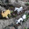Wildlife World Collection 40 Hollow Plastic Animal Figure Model Ornament Doll Collection Toy