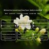Zhang Yiyuan Premium Rich Aroma Jasmine Tea