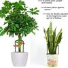 2/4/6PCS Plastic Plant Support Pile Frame Greenhouse Arrangement Semicircle Fixed Rod Indoor Flower Plant Vine Climbing Bracket