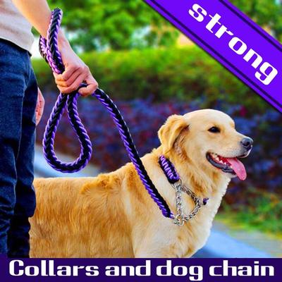 colored chain dog collars