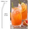 Reble Glass Straws 10-Pack Drinking Straw 4 Bent + 4 Straight + 2 Wider Smoothie Straws with 2 Cleaning Brushes