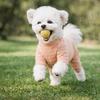Hunde-Bauchschutz Kleidung Weicher gestreifter Hunde-Overall Vierbeiniger warmer Hunde-Schlafanzug Bequemer Hunde-Genesungsanzug Tägliche Kleidung