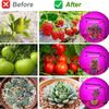 5v USB LED Plant Grow Light Full Spectrum Hydroponic Bulb LED Indoor Plant Light Greenhouse Vegetable Flower Grow Light Grow Box