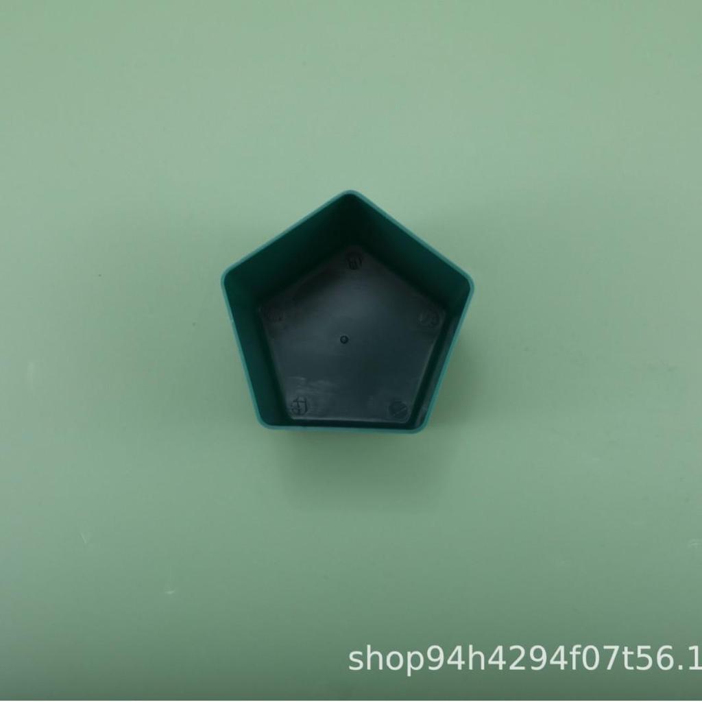 Garden Snail and Slug Trap Catcher