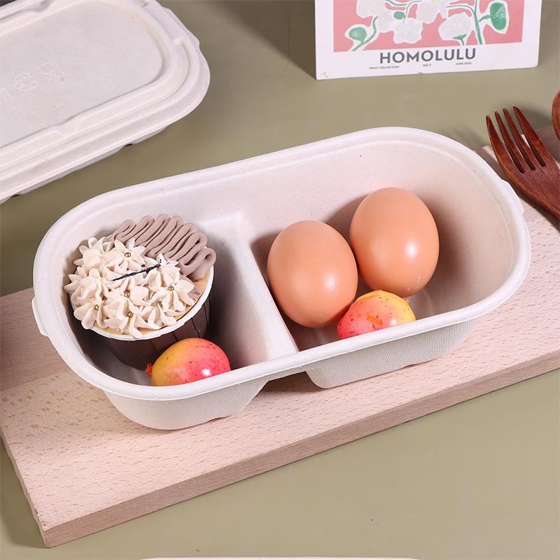 10PCS Disposable Lunch Box with Lids Biodegradable Pulp for Takeaway Packing Light Food Salad Separate Lunch Boxes