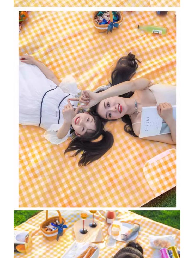 Thickened Waterproof Picnic & Camping Mat - Moisture-Proof, Portable & Foldable