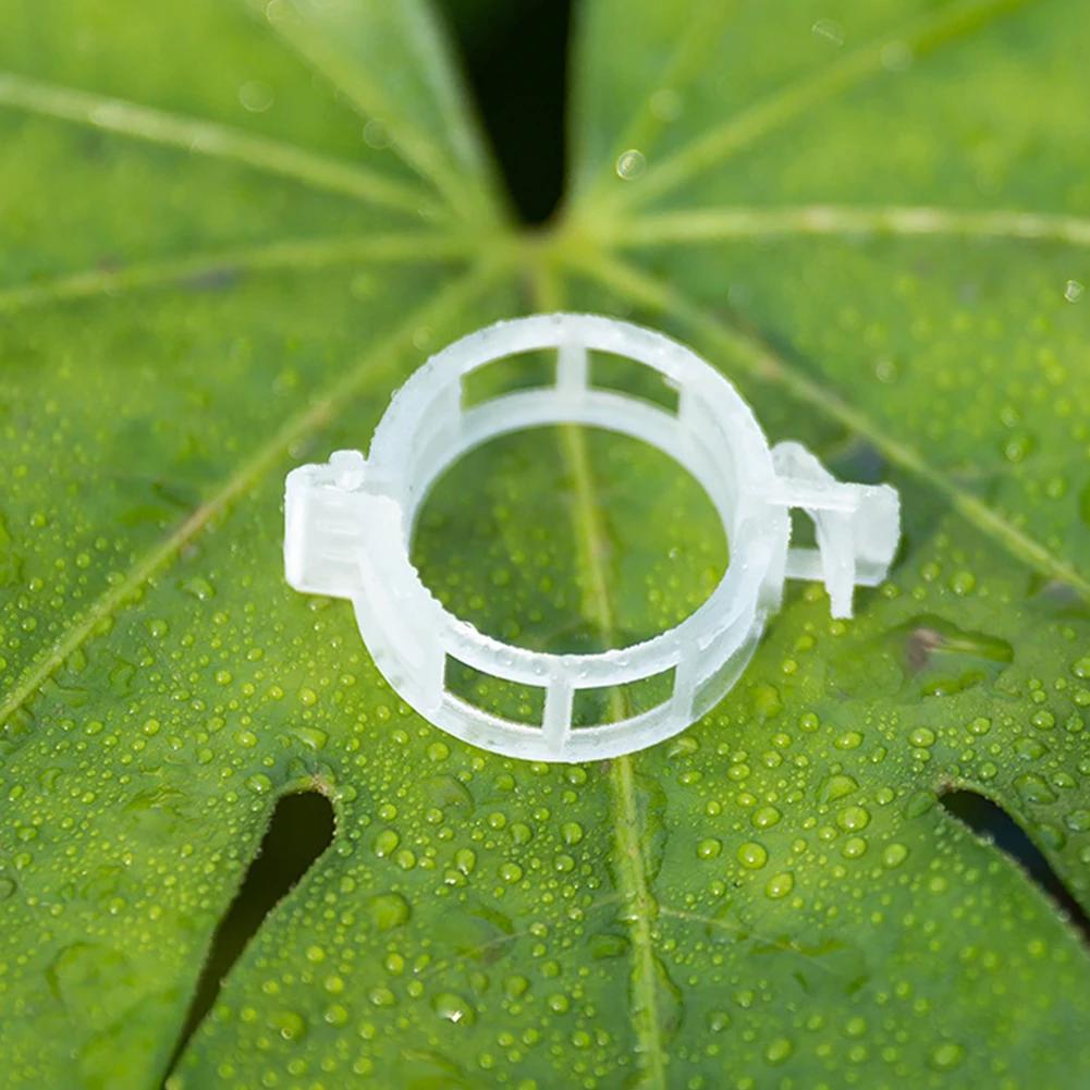 100PCS Plastic Plant Support Clips Reusable Plant Vine Connects Fixing Tool Vegetable Tomato Grafting Protect Garden Supplies