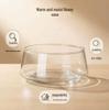 Large Transparent Glass Vase for Hydroponic Plants, Micro Landscapes, Office Decor, and Fish Tank Ornament - Moss Green.