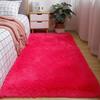 Plush Carpet for Bedroom Soft for Home Floor