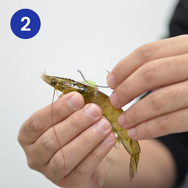 10-Piece Luminous Live Shrimp Fishing Hooks Set