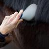 Horse Tail Brush Mane and Tail Brush Horse Grooming Brushes with Humanized Handle easy to use Horse Massage Horse Hair Brush