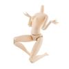 30cm Human Body Figure Model Educational Realistic Male Female Human Body Structure for Kids Scientific Cognitive Toys