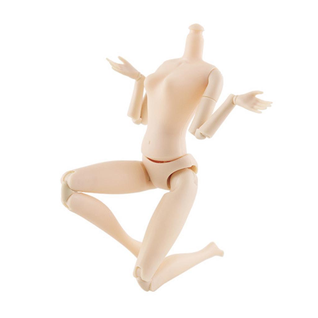 30cm Human Body Figure Model Educational Realistic Male Female Human Body Structure for Kids Scientific Cognitive Toys