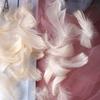 50Pcs Macaron Color Small Feather Small Goose Feather Wedding Festival Event Stage Decoration Gift Box Filling Material