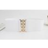 Stretch Belt for Women Ladies Dress Corset Fashion Female Stretch Belt with Alloy Buckle for Banquet Dress Decorations