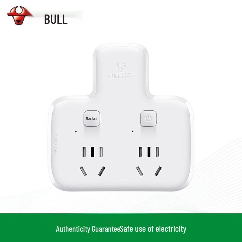 BULL Multi-Functional Power Socket Converter