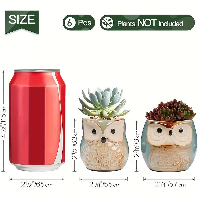 Creative Cartoon Kiln Transformation 6pcs Set Owl Ceramic Succulent Plant Pots with Drainage Holes, Adorable Small Planters with Plant Stands