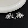 Elegant Sparkling Fireworks Rhinestone & Pearl Zircon Stud Earrings