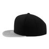 FLEXFIT Metallische Visier-Snapback-Kappe (2er-Pack)