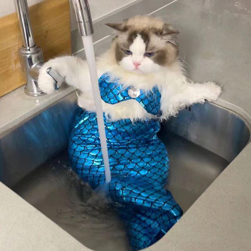 Pet Mermaid Tail Swimsuit Costume for Dogs and Cats