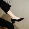 Thick Heel Interview Women's Shoes 2025 New Black Vocational Work Medium Heel Single Shoes Student Civil Servant Formal High Heels