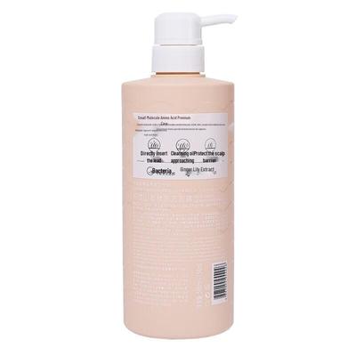 POTE Wild Ginger Volumizing Shampoo