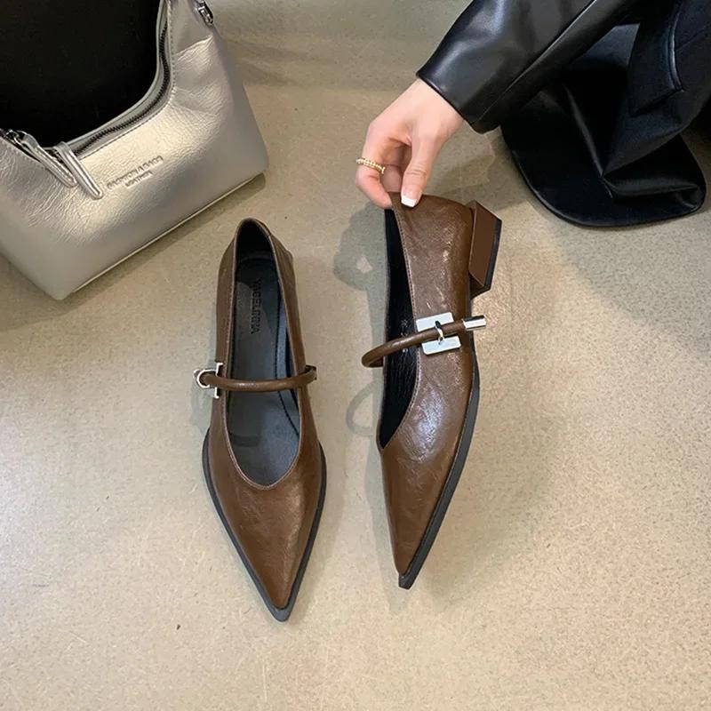 

Модные женские туфли-лодочки с острым носком на низком каблуке, весна-осень, модная женская обувь в уличном стиле Мэри Джейн 35 коричневый