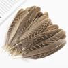 Natural Pheasant Feathers for Crafts 10-15cm DIY Feather Dream Catcher Jewelry Creation Handicraft Accessories Plumes Decoration