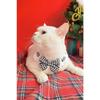 Red and Black Bow-knot Pet Collar Bib Saliva Towel Knitted Collar Cat Puppy Decoration Used for Small Pets Bow Tie Accessories