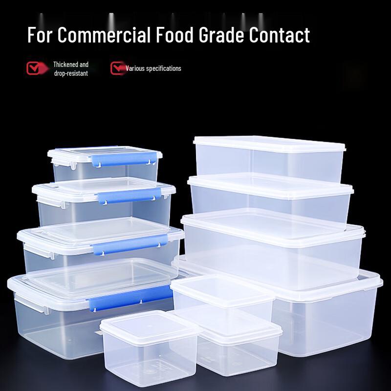 Rectangular PP Food Storage Container