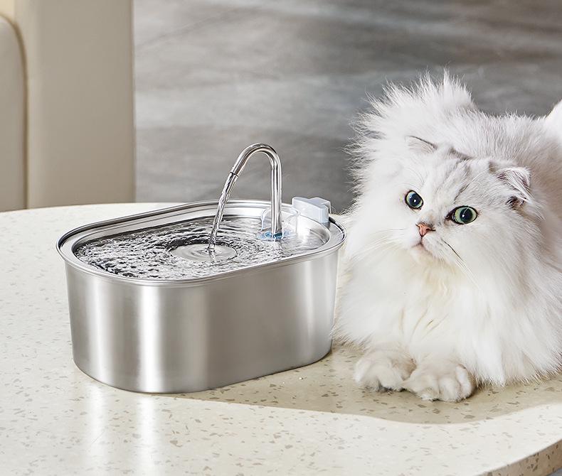 Fontaine à eau automatique pour chat en acier inoxydable de 3,2 L avec filtration
