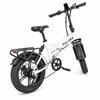 PULUMA FM2.0 Bicicletta Elettrica Pieghevole 48V15AH Batteria al Litio Rimovibile Ruota Fat 20x4.0 per Tutti i Terreni 7 Velocità Freno Idraulico 250W Ebike per Adulti