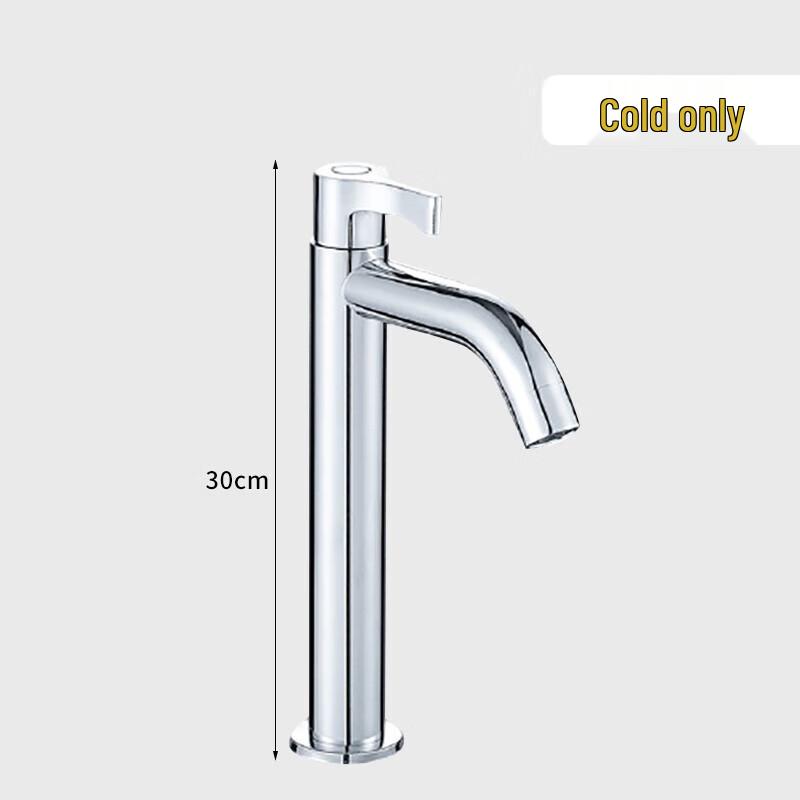 WDOFS Stainless Steel Single Cold Basin Faucet