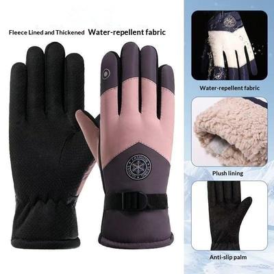 Winter Unisex Snowboard Ski Gloves Non-Slip Waterproof Motorcycle Cycling Fleece Warm Snow Gloves
