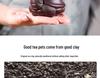 Handmade Yixing Zisha Dragon Turtle Tea Pet Sculpture for Tea Ceremony