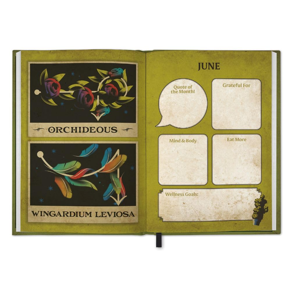 HARRY POTTER 2026 Potion A5 Diary