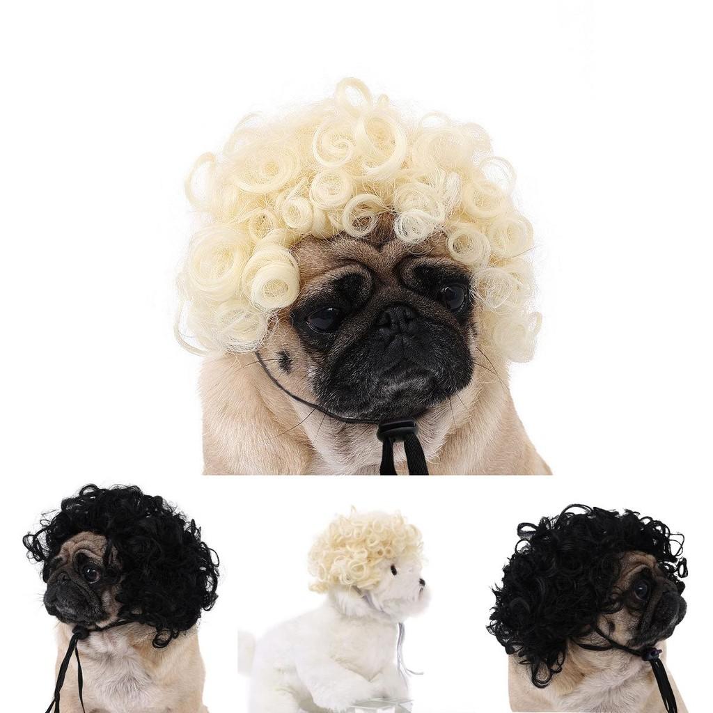 Are 10 Here Suggested Titles For The Pet Wig Product Based On The Information Provided