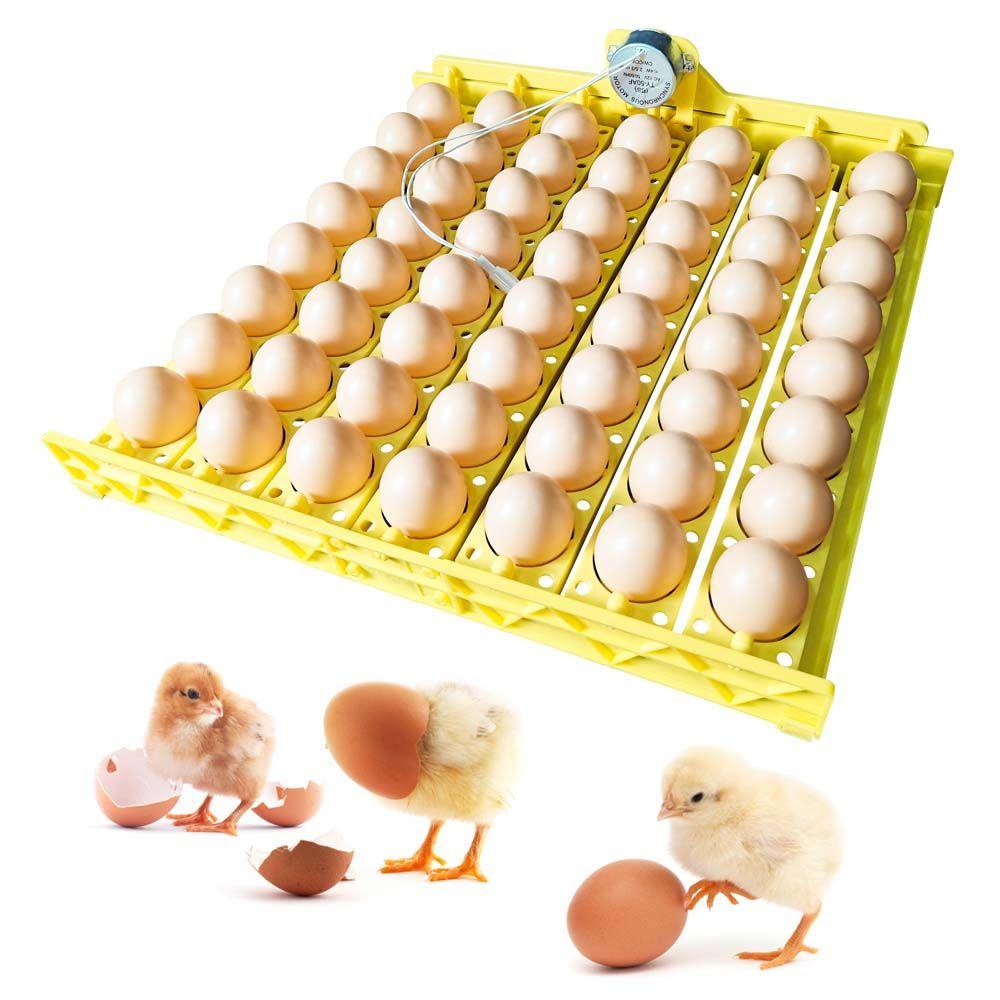 With Auto Turn Motor For Chicken Duck Egg Brooder Accessory Egg Incubator Egg Turning Tray