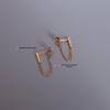 Korean Cold Style Long Tassel Earrings, Titanium Steel, F266