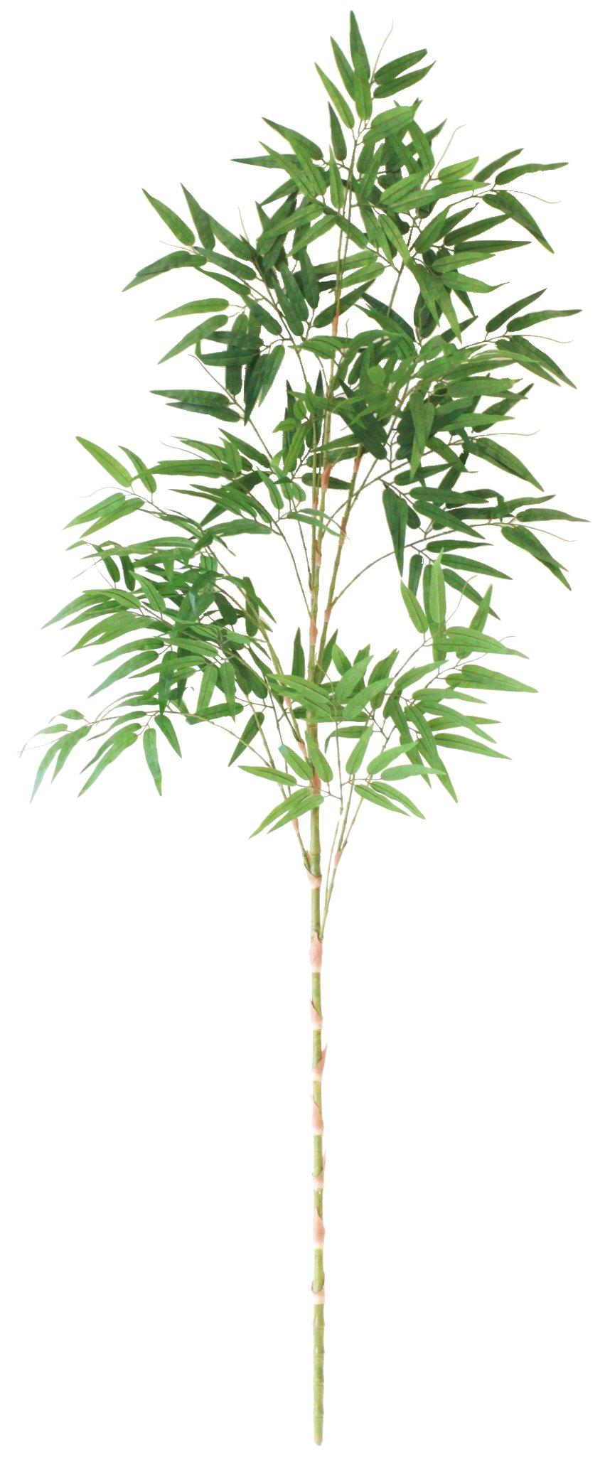 

Yamakyu Artificial Flower Tanabata Decoration Bamboo Approximately 180cm Silk Flower Bamboo Bamboo Extra Large Size with Bamboo Skin 3 Pieces Tanabata зелёный