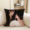 Neo Hou Minghao Lu Yuxiao TV Love in The Clouds Ji Bozai Various Sizes Square Pillow Case For Car Home Bedchamber Decor