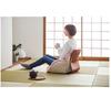Cojit Energy-Saving Warmer Cushion for the Waist, Back, and Buttocks. The Soft Seat Keeps Your Cat and Dog Warm. It Also Wraps Around the Back. Pink