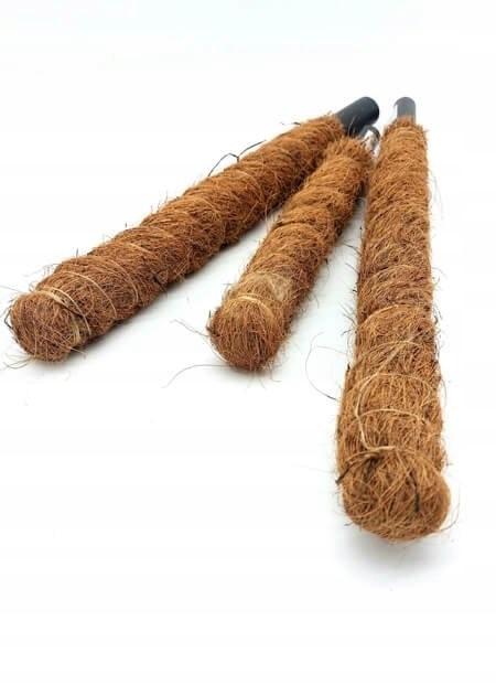 Coconut Support Stick for Plants, Eco