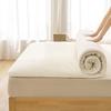 WTEMPO All Seasons Thick Bedroom Bed Sheet Foldable High Quality Soft Mattress Tatami Pad School Dormitory Bed Mattress Pad