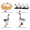 Educational Goose Life Cycle Discovery Kit for Young Explorers