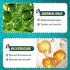 Avocado Moisturizing Body Lotion SADOER Autumn and Winter Moisturizing Body Cream