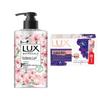 Scented Antibacterial Hand Wash & Soap Set