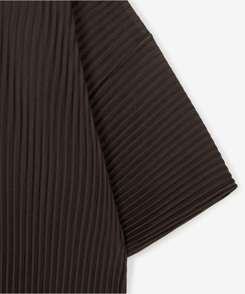 Tienjiti Yoyogi Pleats Tee (Brown) Tnts6E213W2